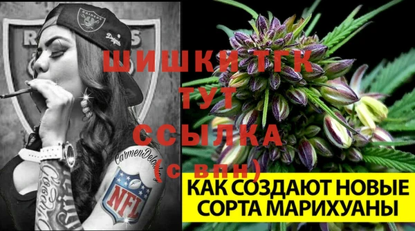 молекула духа Краснослободск
