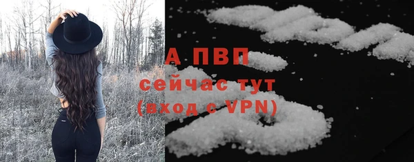 молекула духа Краснослободск