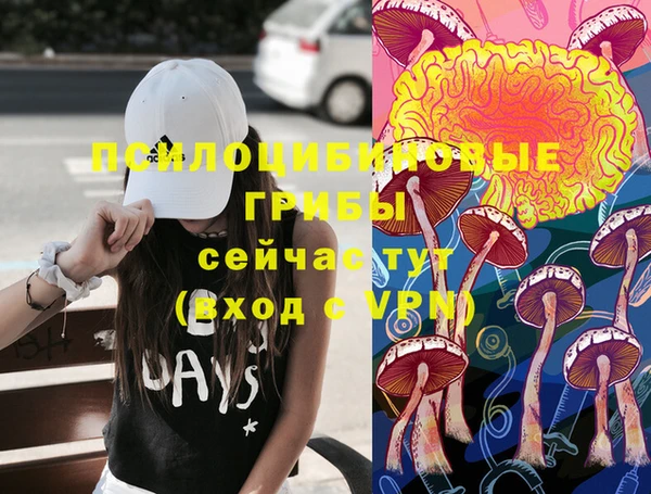 молекула духа Краснослободск