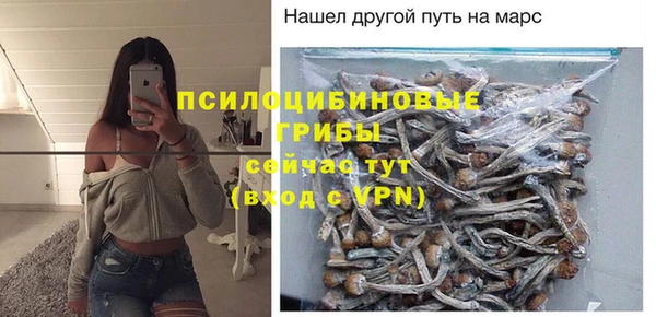 мяу мяу мука Лагань