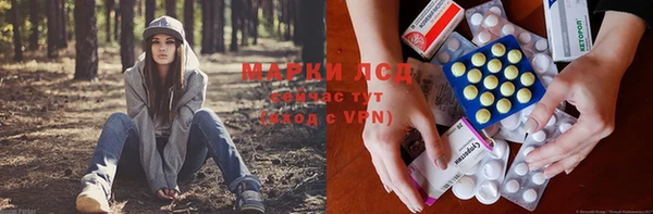 прущая мука Кулебаки