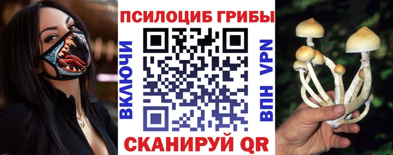 Псилоцибиновые грибы MAGIC MUSHROOMS  дарнет шоп  Суздаль 